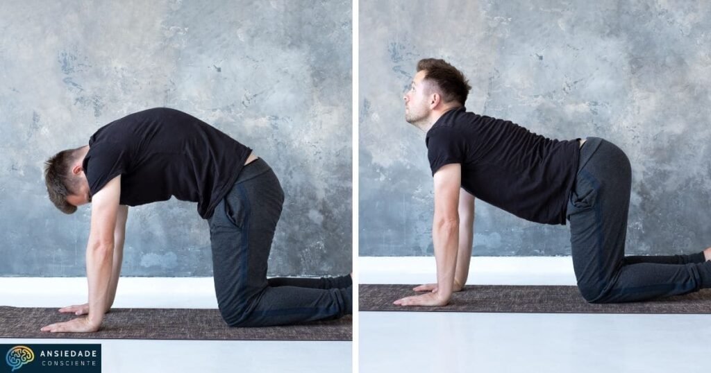 Yoga para ansiedade: Posturas do Gato e da Vaca (Marjariasana e Bitilasana).